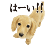 851313425