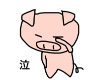 851313675