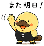 851313791