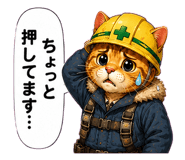 851315621