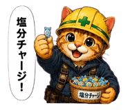 851315637