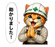 851315641