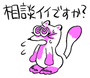 851315724