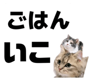 851316061