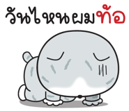851316602