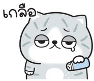 851316607