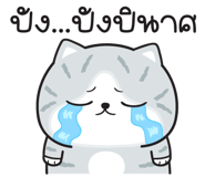 851316625