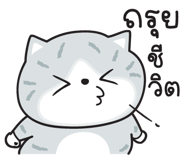 851316626