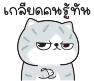 851316630