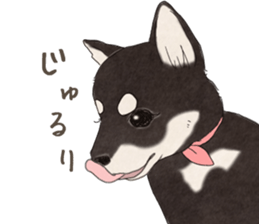 8513187