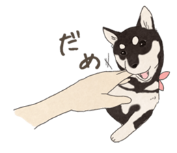 8513191