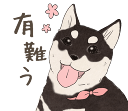 8513200