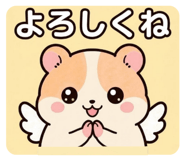 851338923