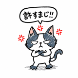 851342554