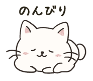 851342664