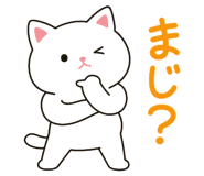 851347060