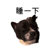 851349901