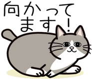 851352056