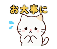 851353190