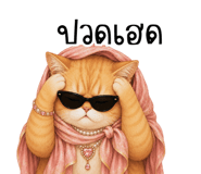 851353341