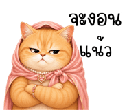851353342