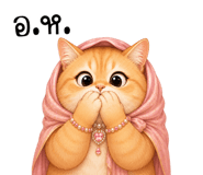 851353343