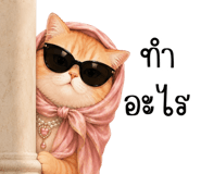 851353357