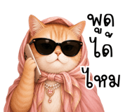 851353362