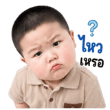 851354216