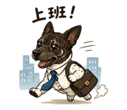 851354856