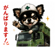 851355971