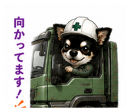 851355975