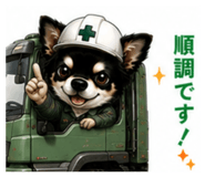 851355977