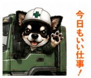851355980