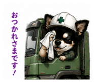 851355981