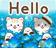 851356356