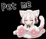 851356974