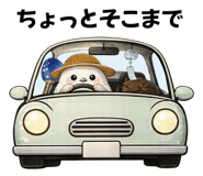 851357162