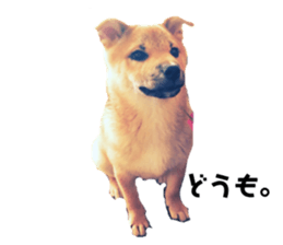 85136009