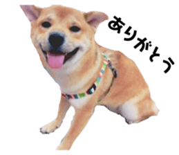85136010