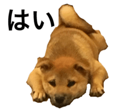 85136012