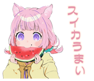 851364439