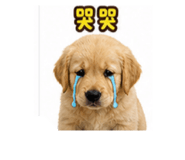 851365335