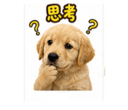 851365337