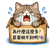 851365901