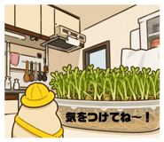 851366424