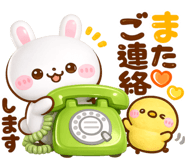 851369334