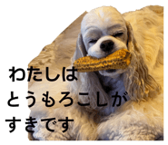 851369985