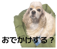 851369989