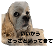 851370024